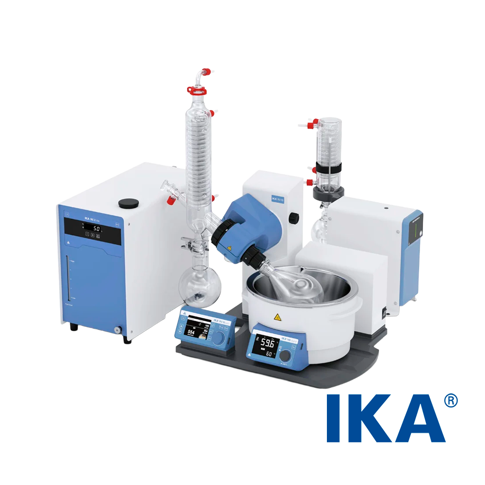 rv 10 auto
